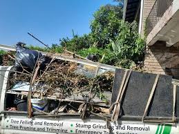 Best Carpet Removal and Disposal  in Clarinda, IA